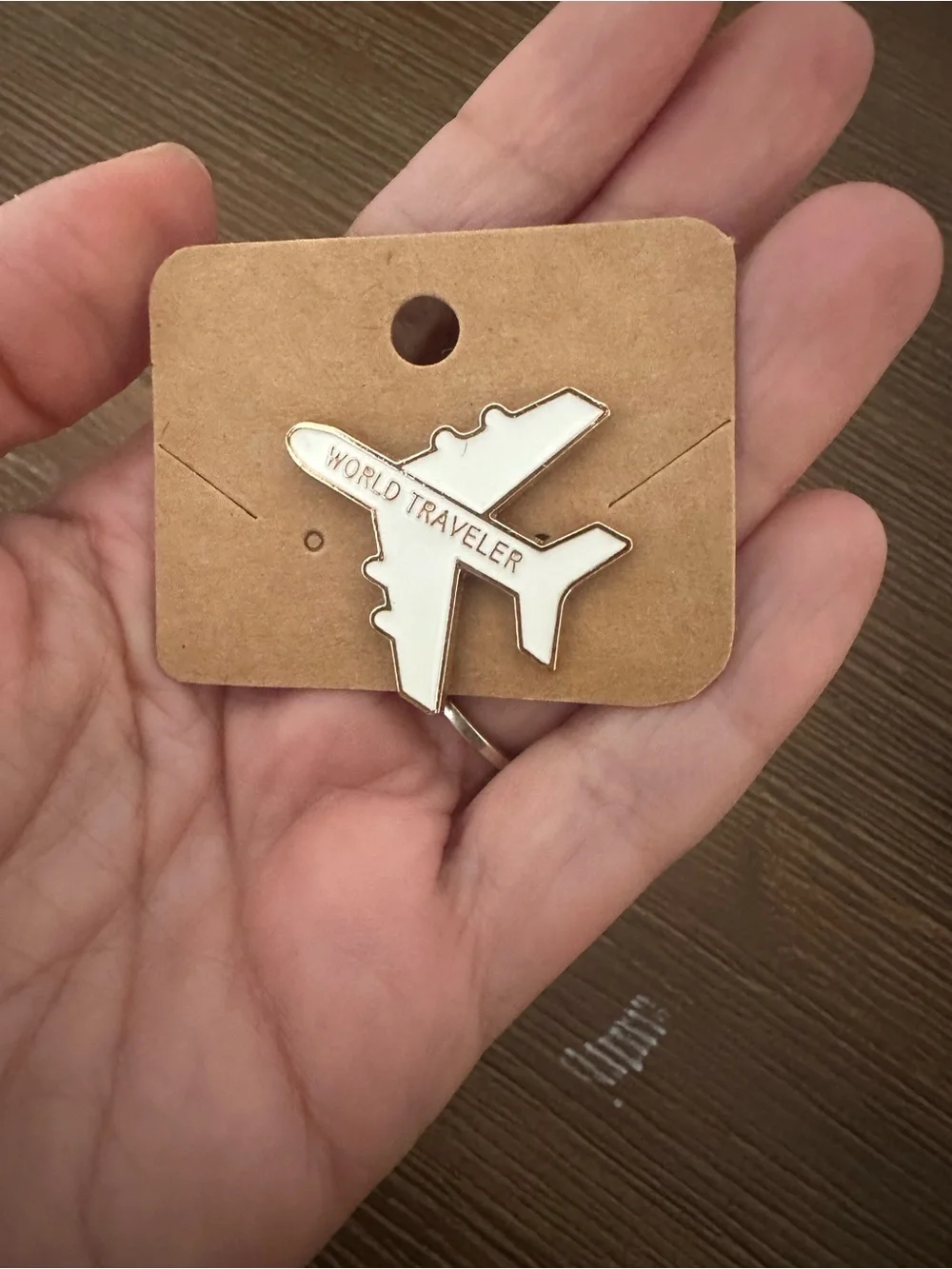 World Traveler Airplane Enamel Pin - Picture 2 of 6